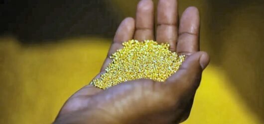 FLAMBÉE HISTORIQUE DU PRIX DE L’OR : UNE OPPORTUNITÉ ET UN DÉFI POUR L’AFRIQUE
